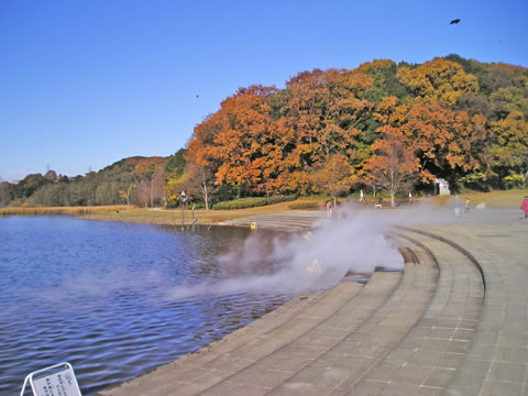 公園噴水図鑑 21世紀の森と広場 千葉県松戸市