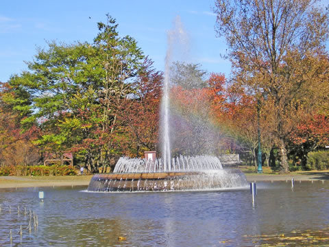 公園噴水図鑑 彩の森入間公園 埼玉県入間市