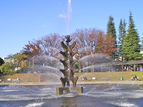 公園噴水図鑑 世田谷公園 東京都世田谷区