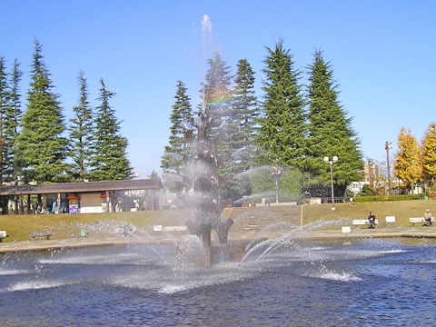 公園噴水図鑑 世田谷公園 東京都世田谷区