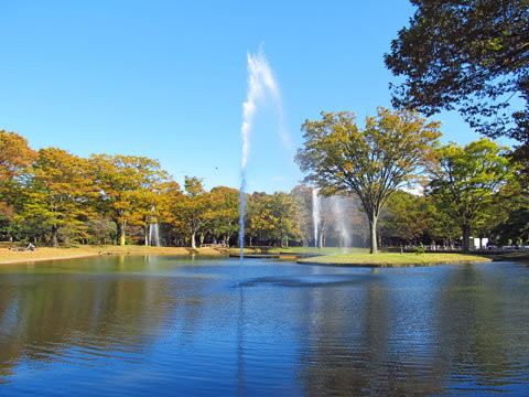 yoyogi_kouen-01.jpg