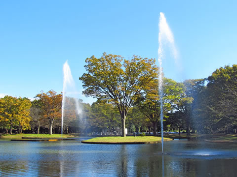 公園噴水図鑑 代々木公園 東京都渋谷区