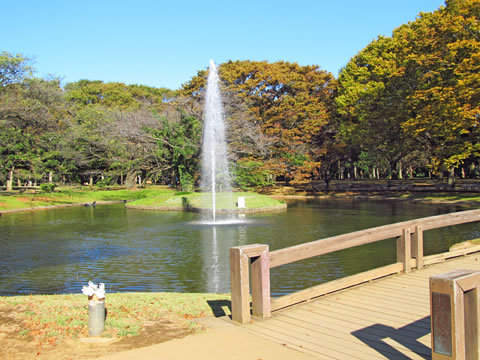 yoyogi_kouen-04.jpg