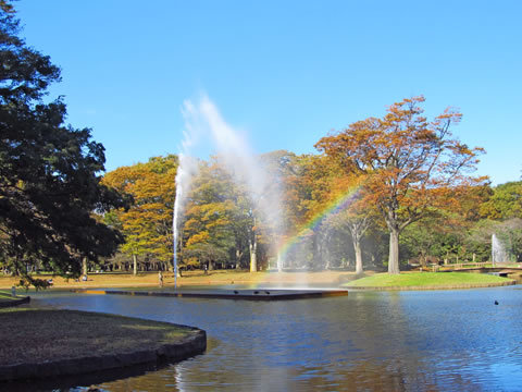 yoyogi_kouen-05.jpg