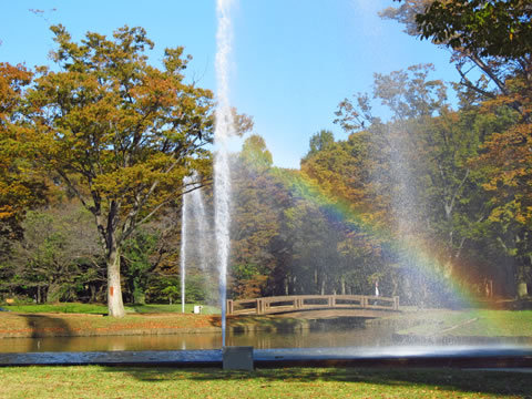 yoyogi_kouen-06.jpg
